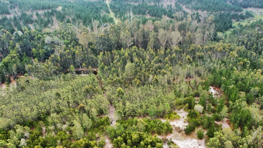 Commercial Property for Sale in Sedgefield Rural Western Cape